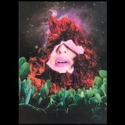 malu-zanelato-04