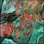 ava-siomara-almeida-05