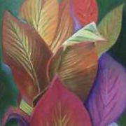 clara-mazzeo-03