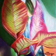 clara-mazzeo-04