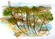 siomara-almeida-09